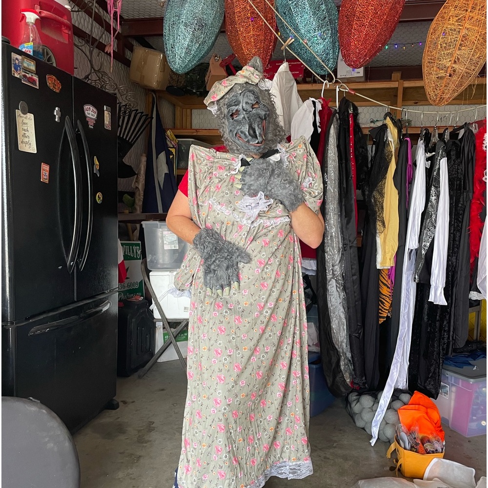 Big Bad Wolf Costume